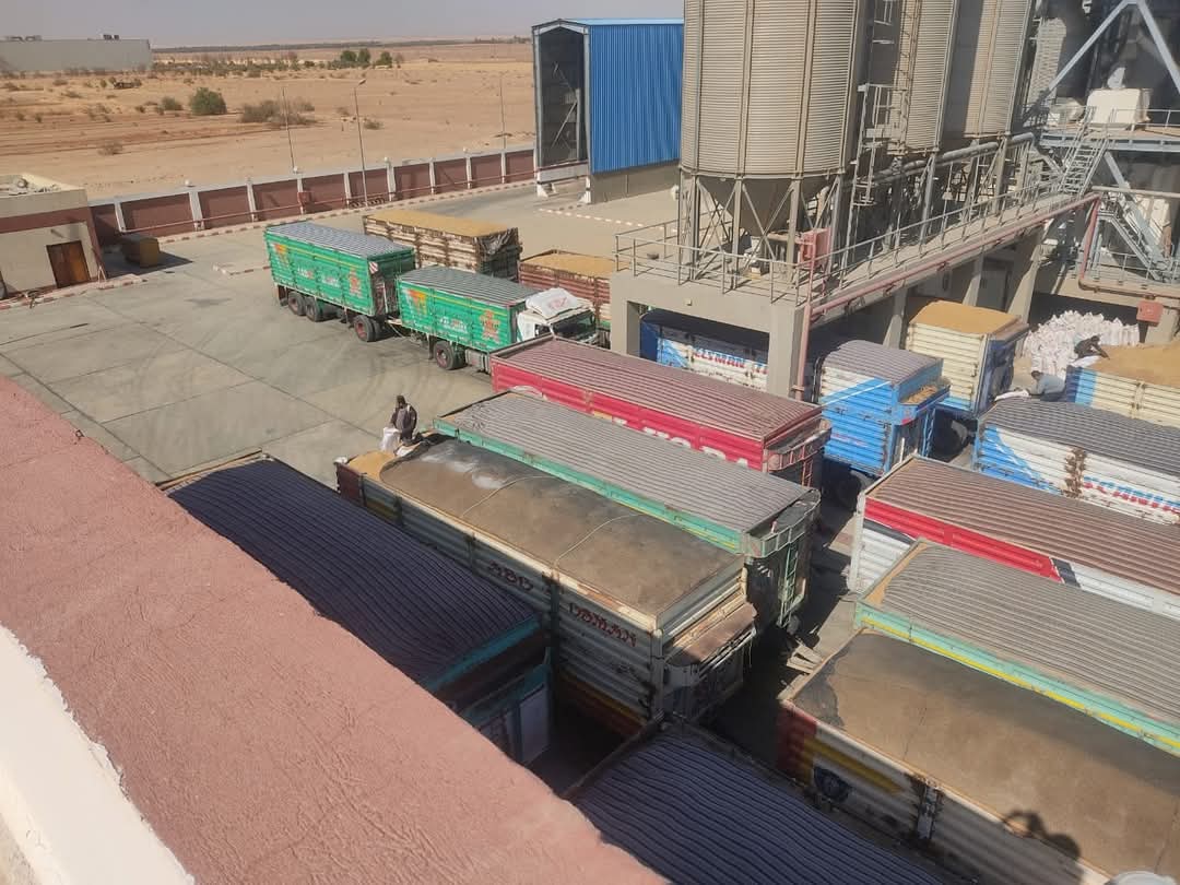 توريد القمح توريد القمح