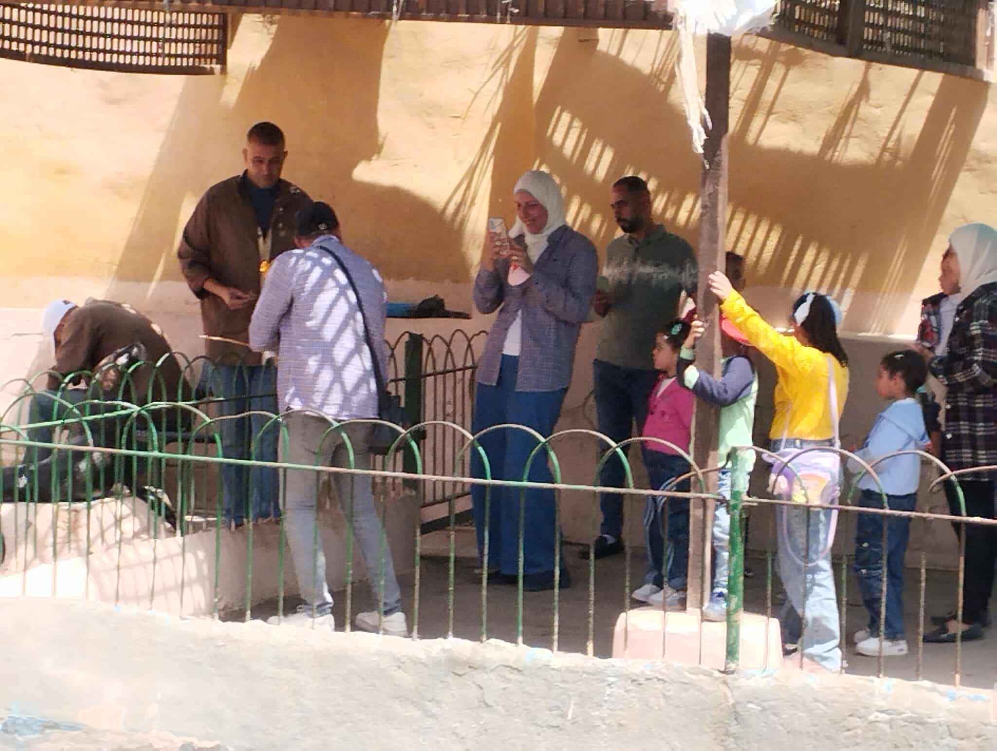 الاطفال مع سبع البحر بحديقة حيوان الإسكندرية الاطفال مع سبع البحر بحديقة حيوان الإسكندرية