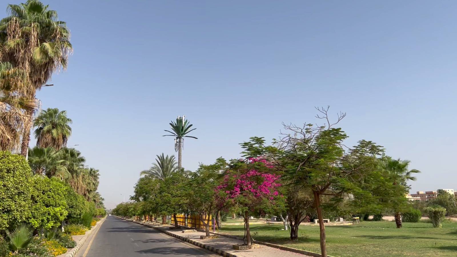 طيبة بالأقصر تعلن جاهزية الحدائق لإستقبال المواطنين بأعياد الربيع