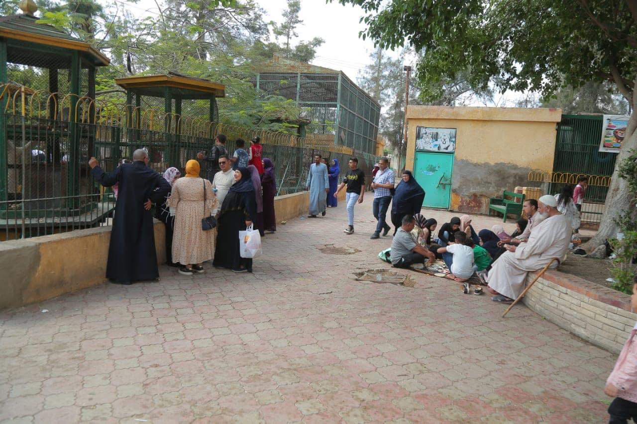 أكل الفسيخ بحديقة الحيوان