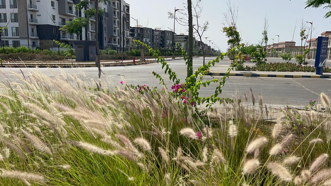 جمال وروعة المدينة الذكية جمال وروعة المدينة الذكية