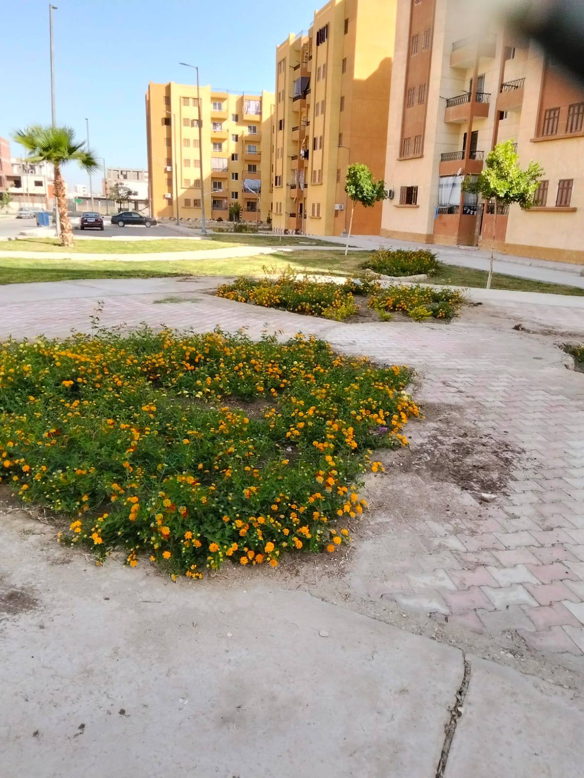 جاهزية الحدائق لإستقبال المواطنين بأعياد الربيع وشم النسيم طيبة