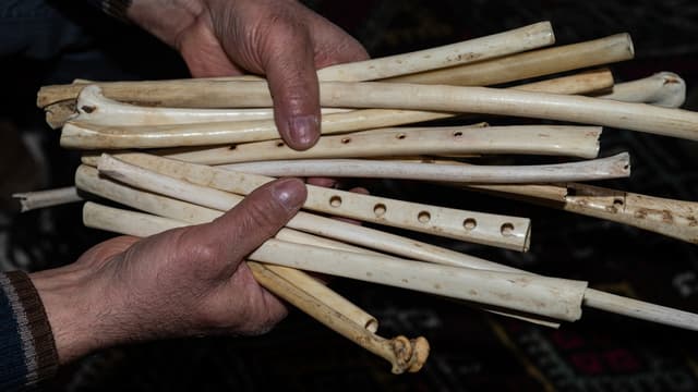 آلات موسيقية من عظام البشر آلات موسيقية من عظام البشر