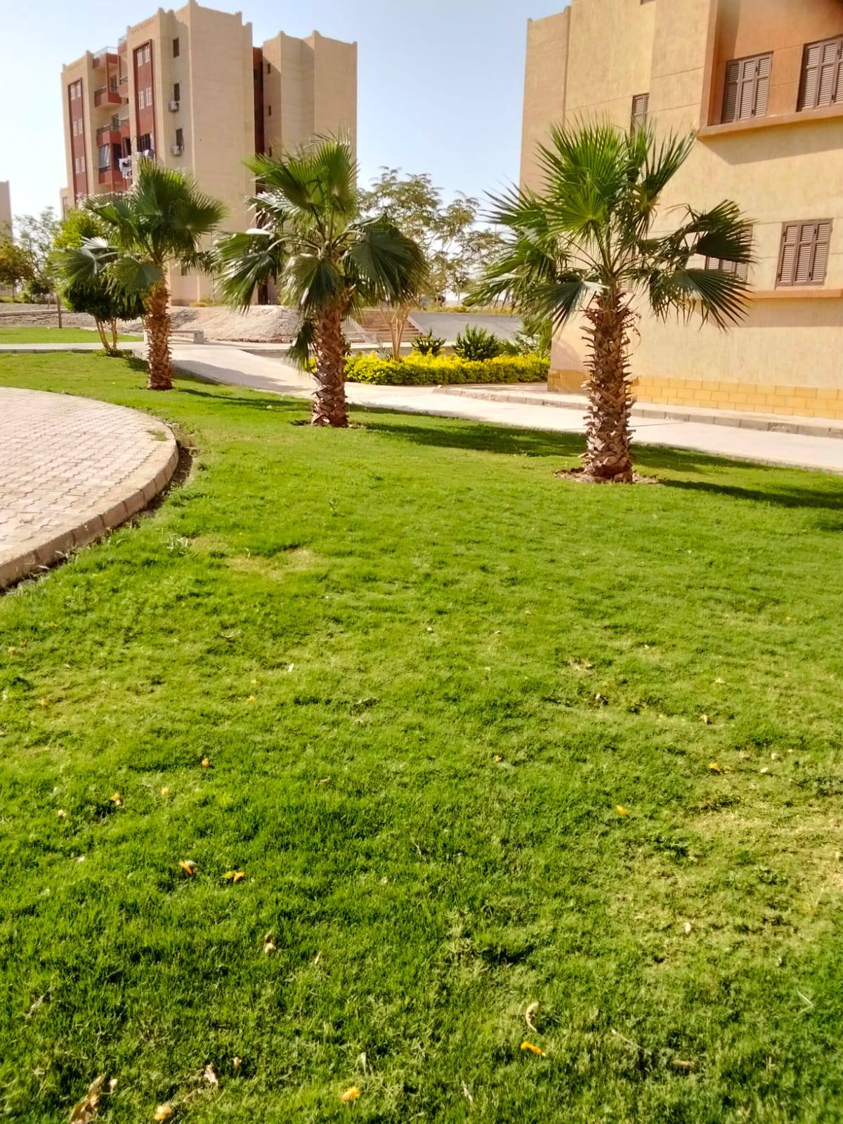 جهاز مدينة طيبة بالأقصر يعلن جاهزية الحدائق لإستقبال المواطنين