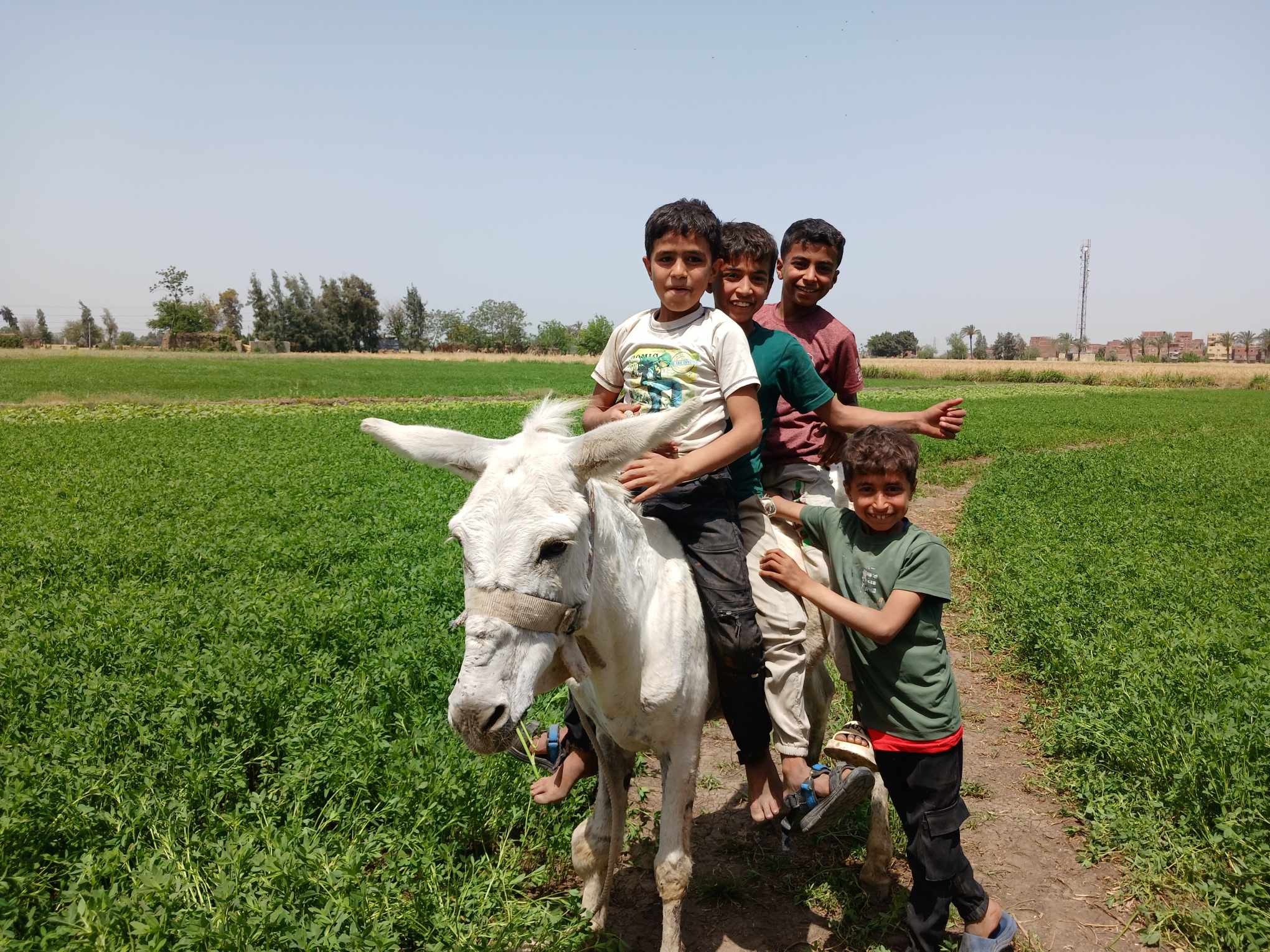 فرحة الاطفال