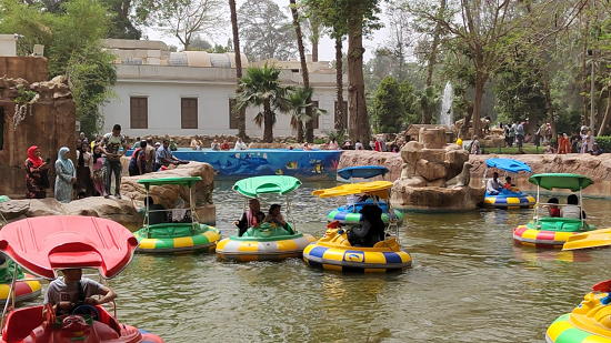 الفلوكة الفلوكة