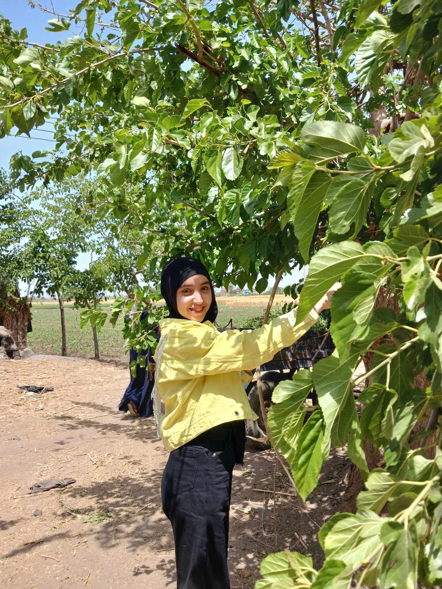 التوت وفرحة الفتيات بشم النسيم