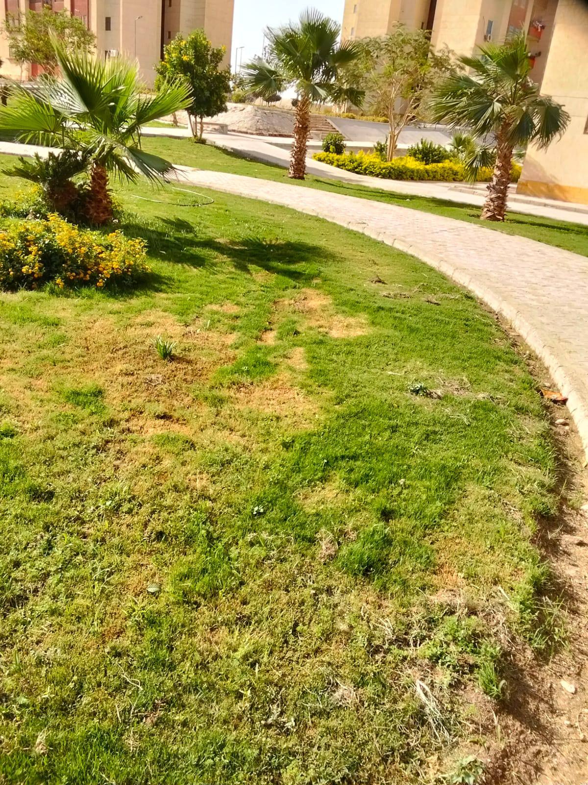 طيبة تعلن جاهزية الحدائق لإستقبال المواطنين بأعياد الربيع وشم النسيم