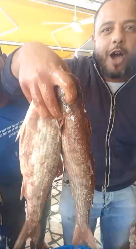 الفسيخ جماله في لونه وطعمه الفسيخ جماله في لونه وطعمه