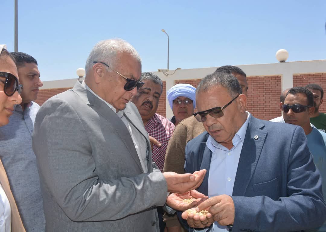 خلال المتابعة خلال المتابعة