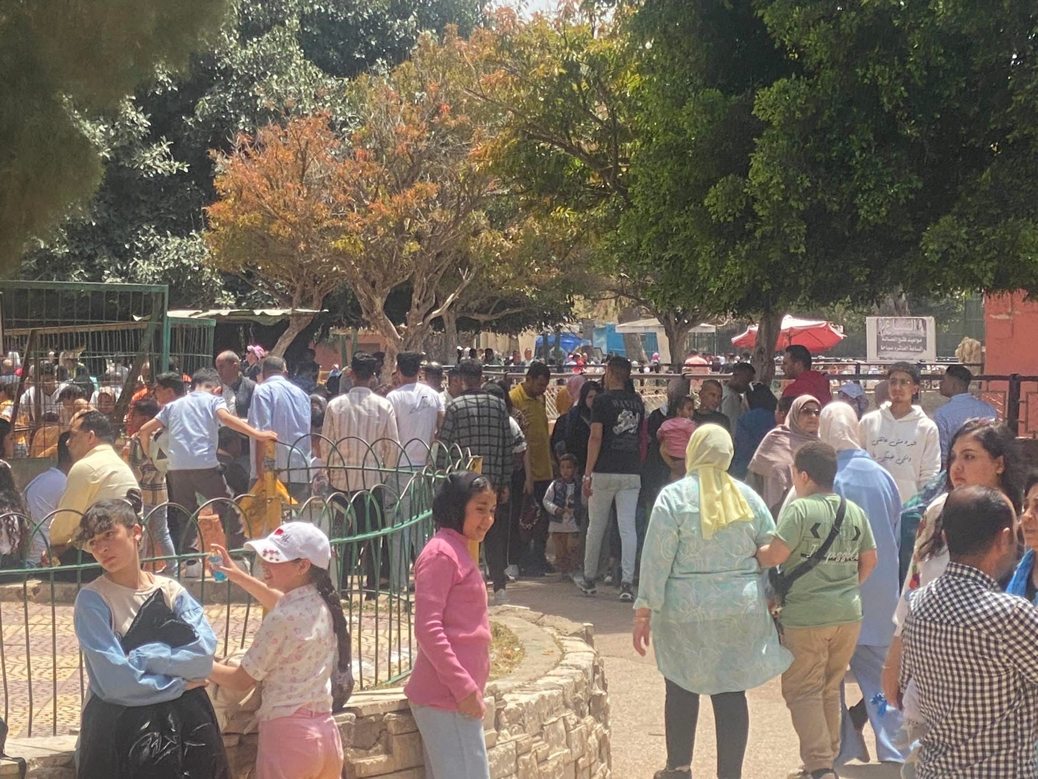 حديقة الحيوان بالاسكندرية