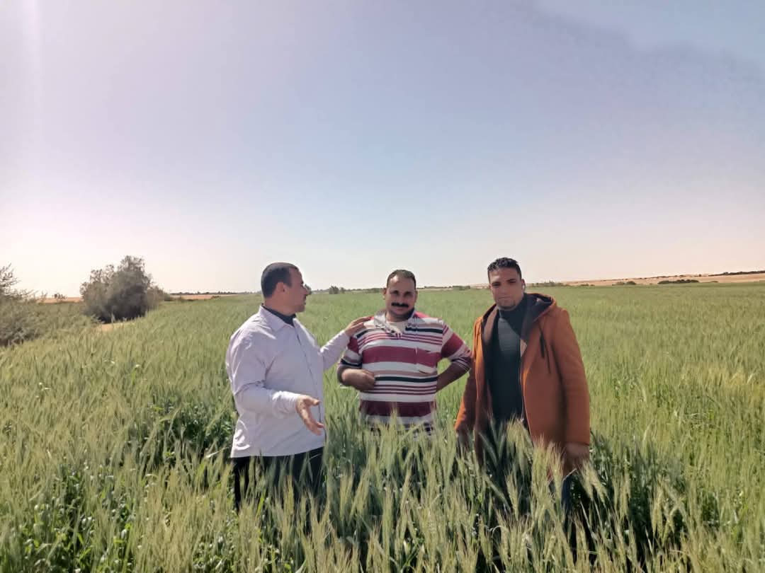 جانب من المتابعة جانب من المتابعة