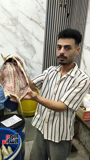 الفسيخ. الفسيخ.