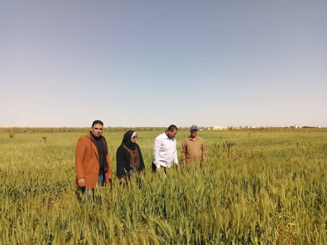 اراضى الوداى الجديد اراضى الوداى الجديد