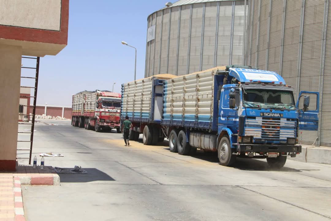 خلال تويد القمح للصوامع خلال تويد القمح للصوامع