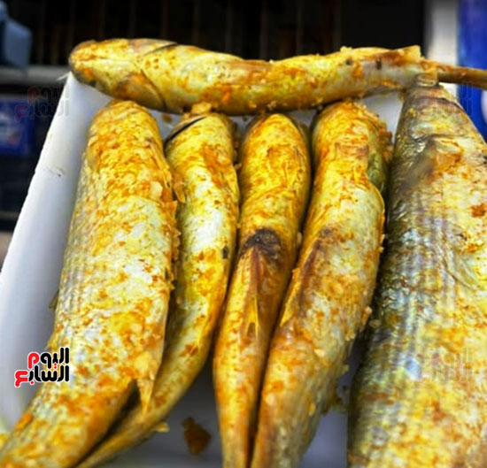 الفسيخ-في-بورسعيد الفسيخ-في-بورسعيد
