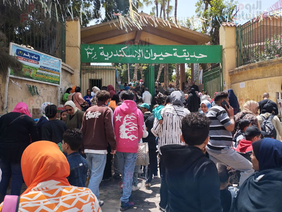 زحام-علي-حديقة-الحيوان-في-الإسكندرية زحام-علي-حديقة-الحيوان-في-الإسكندرية
