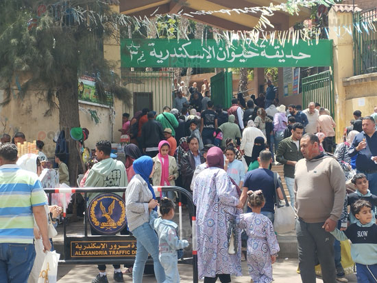 حديقة-الحيوان-في-الإسكندرية حديقة-الحيوان-في-الإسكندرية