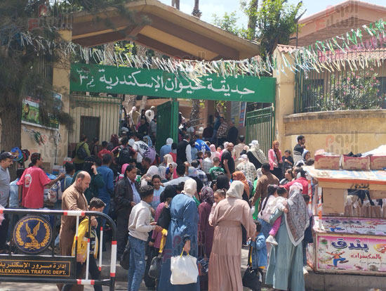 اقبال-علي-حديقة-الحيوان-في-الإسكندرية اقبال-علي-حديقة-الحيوان-في-الإسكندرية