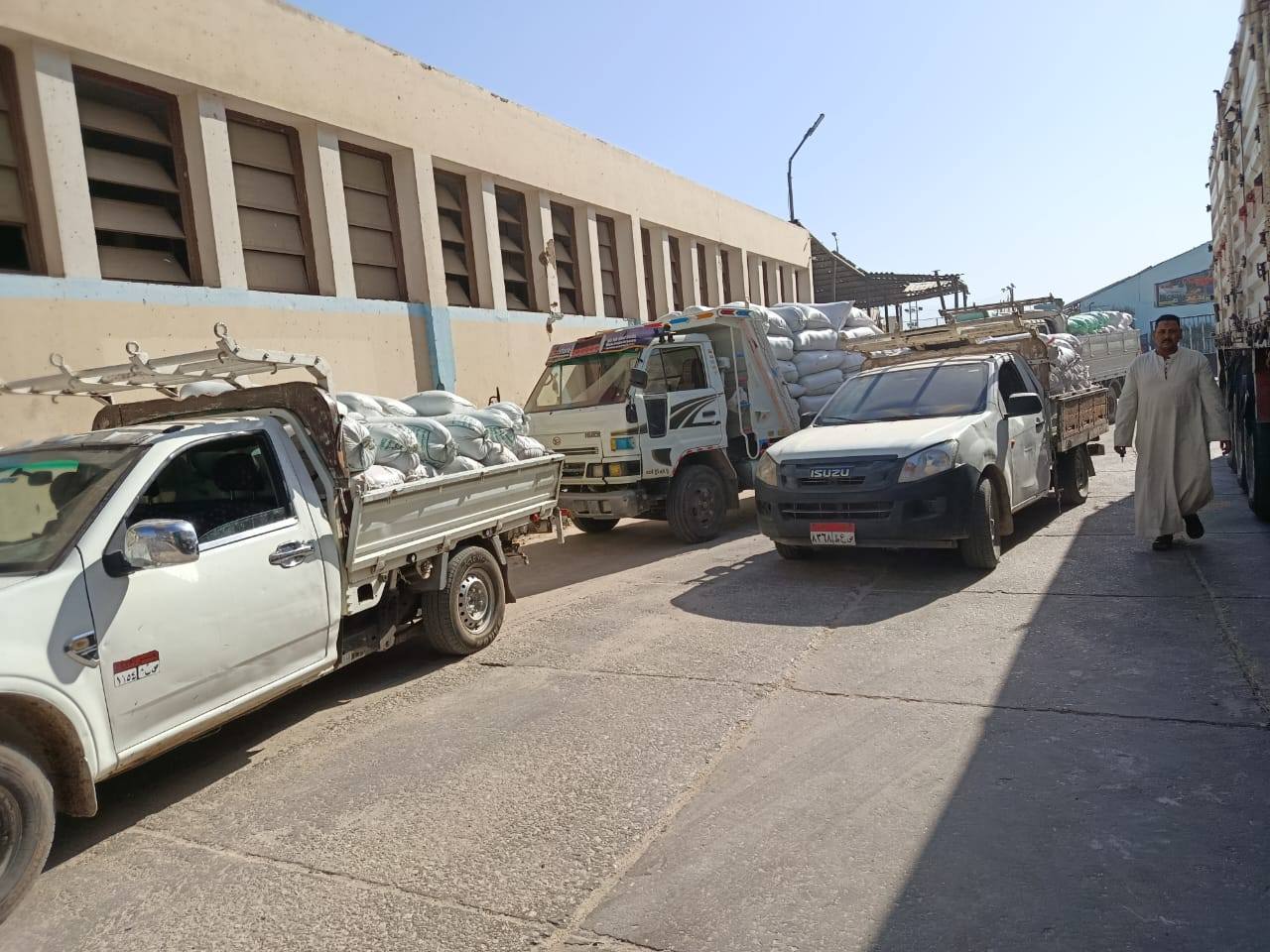 الأقصر تعلن إستلام 600 طن من الذهب الأصفر داخل مواقع تخزين القمح الأقصر تعلن إستلام 600 طن من الذهب الأصفر داخل مواقع تخزين القمح