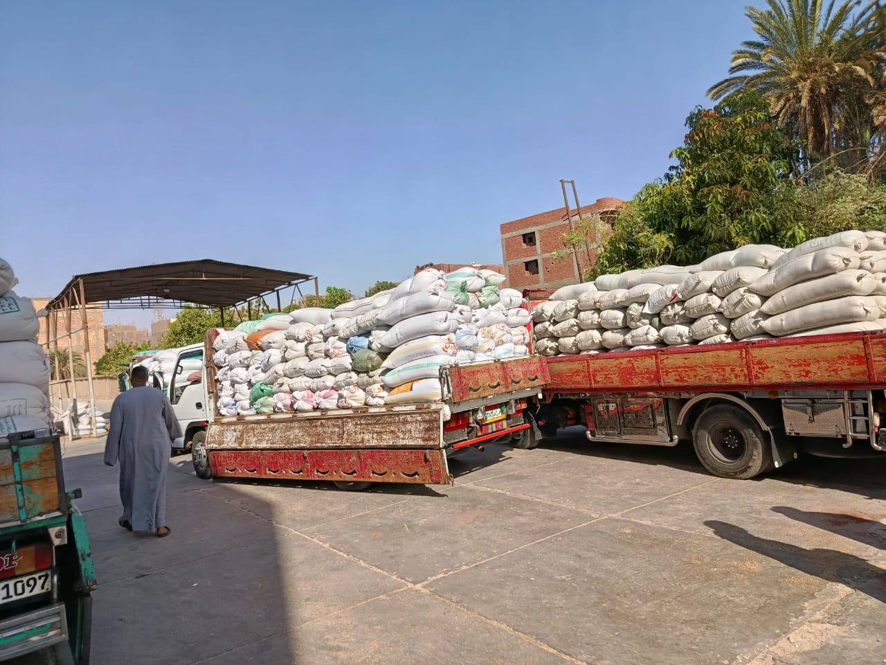 تموين الأقصر تعلن إستلام 600 طن من القمح فى الشون والصوامع تموين الأقصر تعلن إستلام 600 طن من القمح فى الشون والصوامع