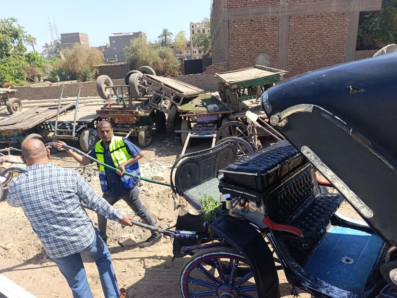 مجلس مدينة الأقصر يتحفظ على عدد عربتين حنطور لمخالفتهم شروط الترخيص مجلس مدينة الأقصر يتحفظ على عدد عربتين حنطور لمخالفتهم شروط الترخيص