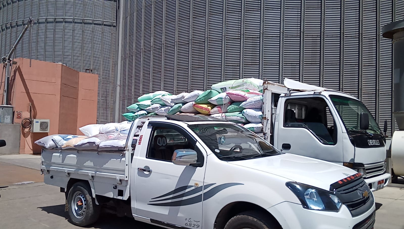 الذهب الأصفر.. انطلاق موسم توريد محصول القمح بالبحيرة (2)