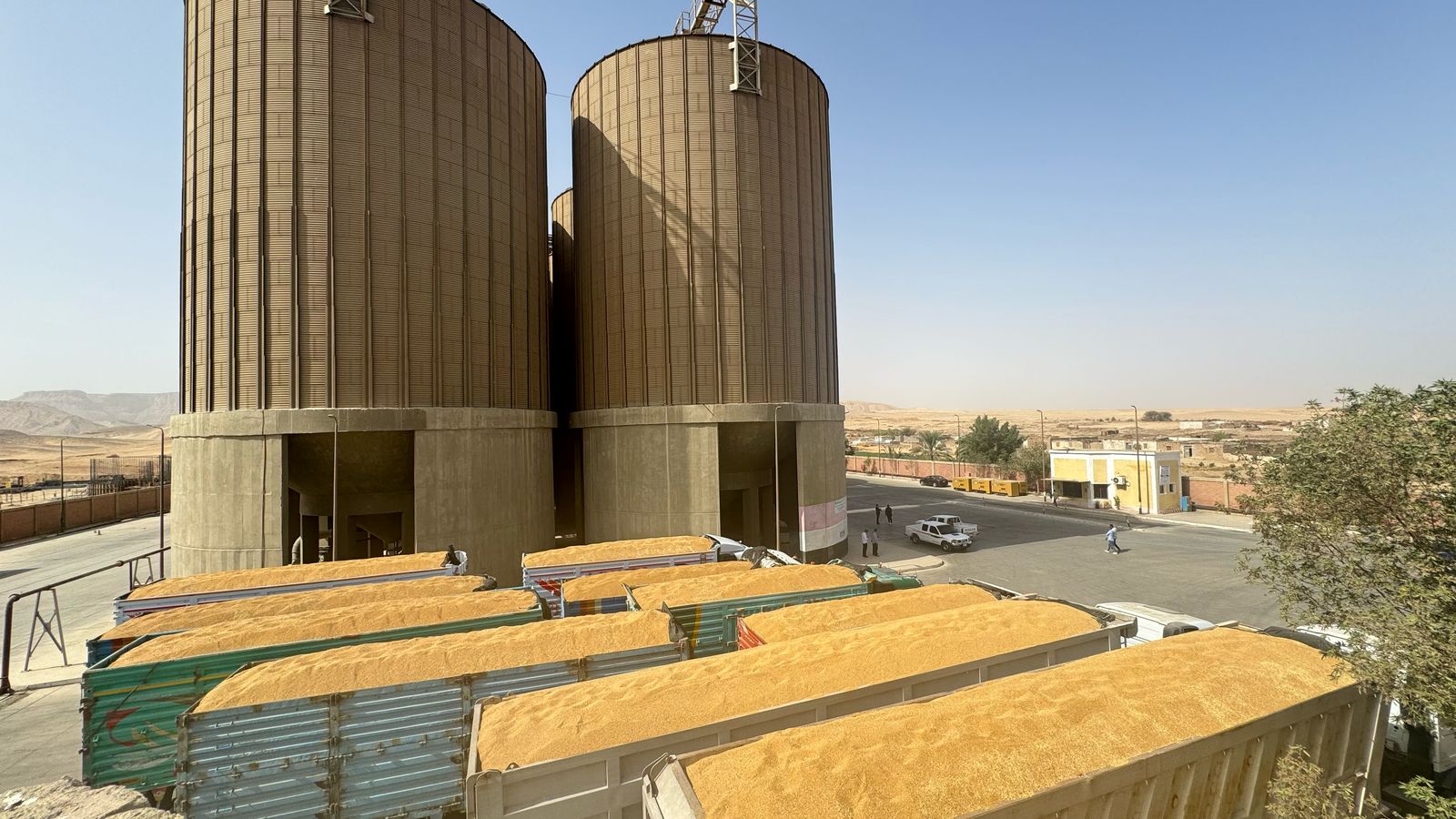 صوامع القمح