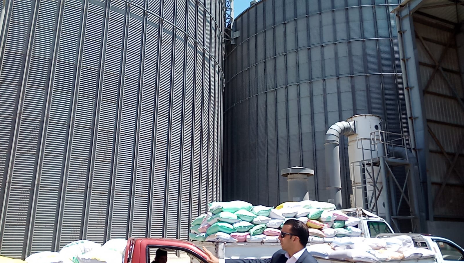 الذهب الأصفر.. انطلاق موسم توريد محصول القمح بالبحيرة (1)