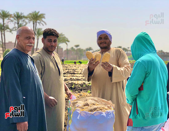 فرحة المزارعين بحصاد المحصول فرحة المزارعين بحصاد المحصول