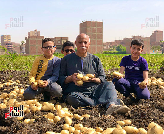 فرحة الأهالي بالمحصول فرحة الأهالي بالمحصول