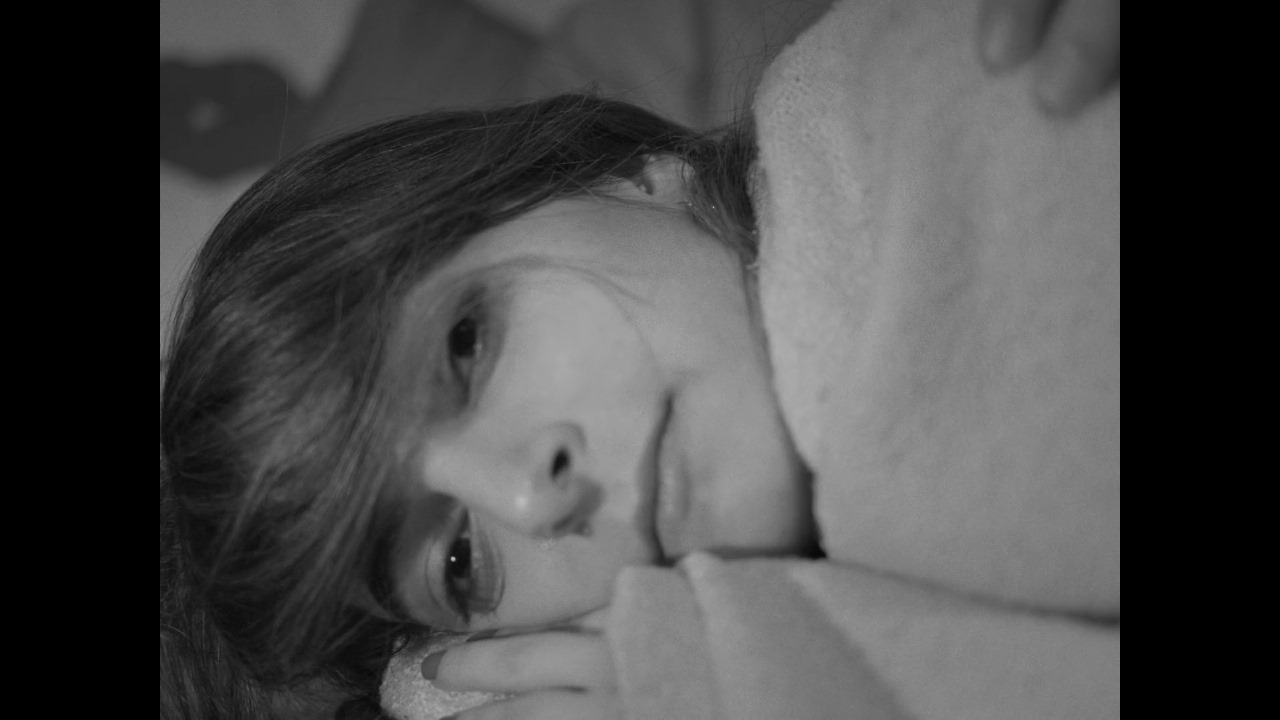 أعجوبة الحياة