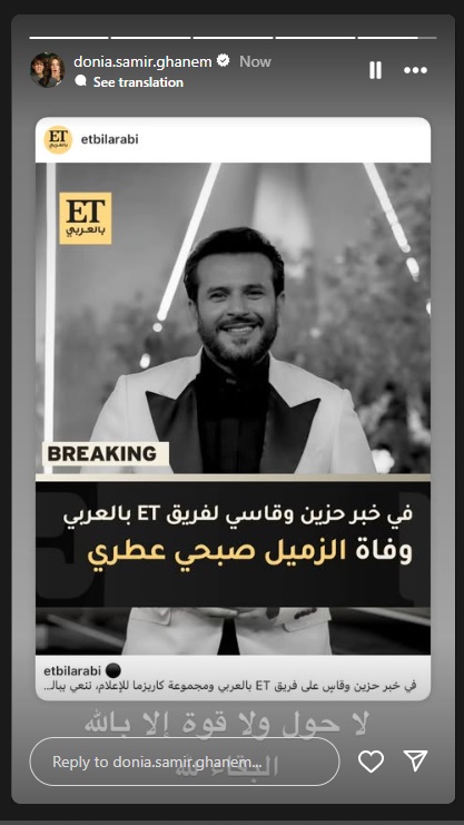 دنيا سمير غانم دنيا سمير غانم