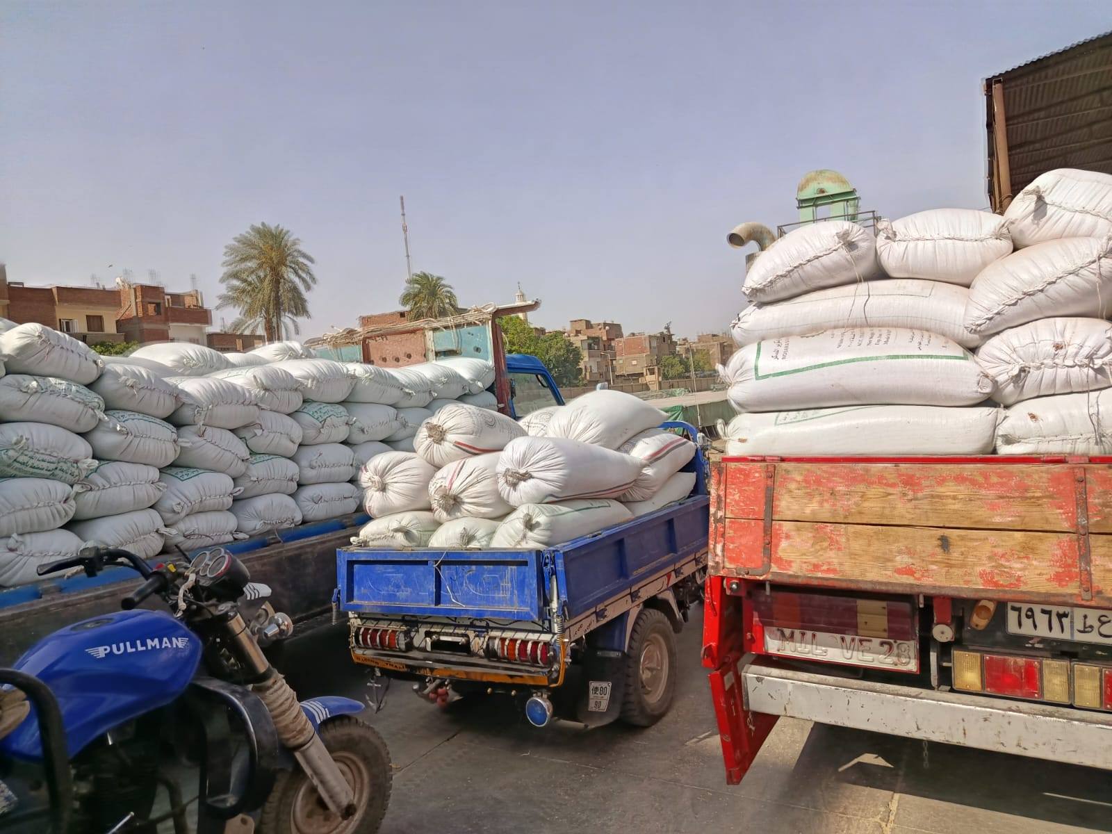 إستمرار توريد محصول القمح خلال أيام الأجازات والعطلات بالأقصر
