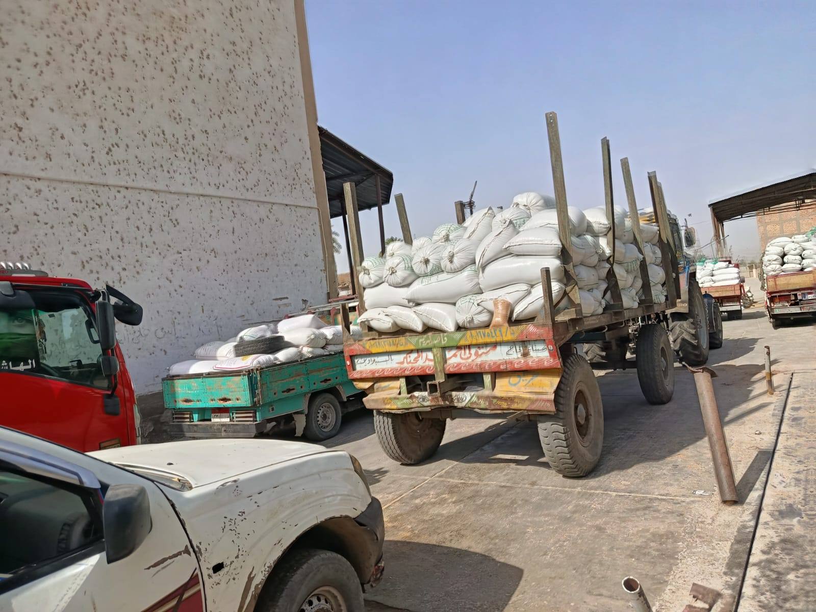 عمليات توريد محصول القمح خلال أيام الأجازات والعطلات بالأقصر