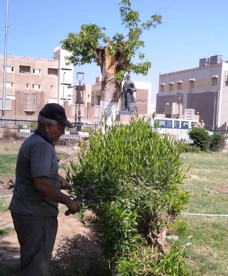 تهذيب الأشجار تهذيب الأشجار