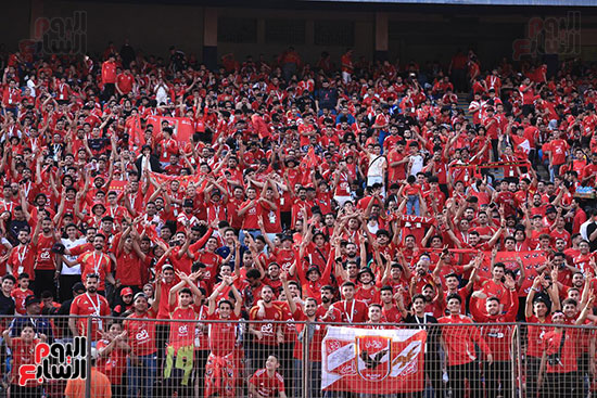 جماهير النادى الأهلى جماهير النادى الأهلى