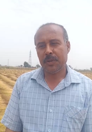 الدكتور محمد عبد الكريم وكيل مركز البحوث  بسخا