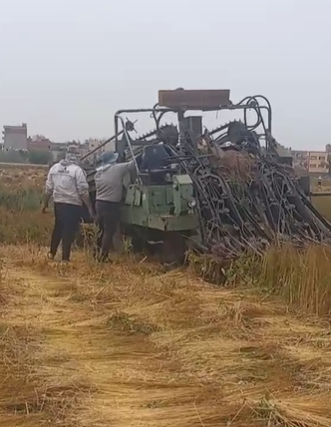 ماكينة حصاد الكتان 