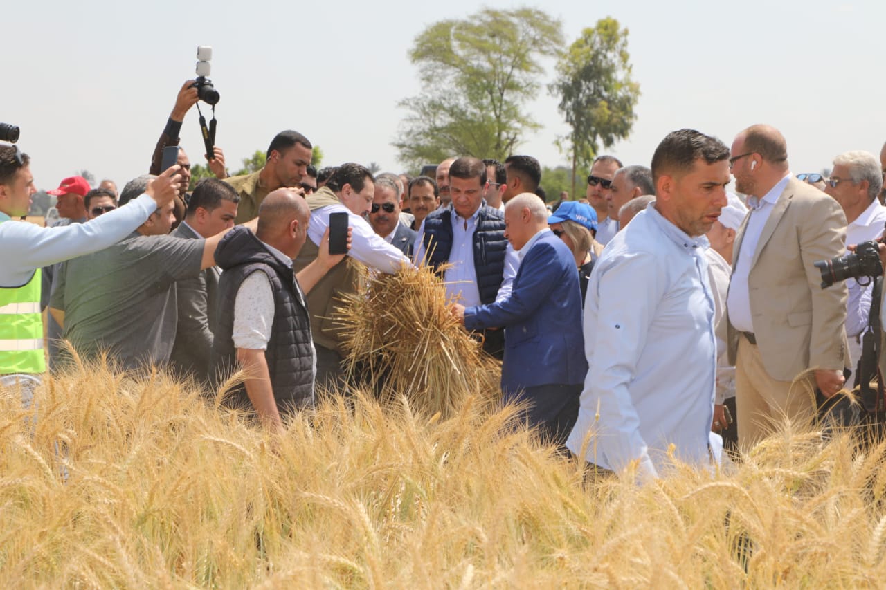 وزير الزراعة يفتتح موسم حصاد القمح بقرية عرب البياضين (4)