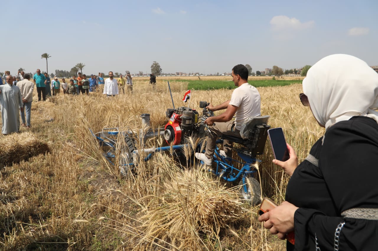 وزير الزراعة يفتتح موسم حصاد القمح بقرية عرب البياضين (3)