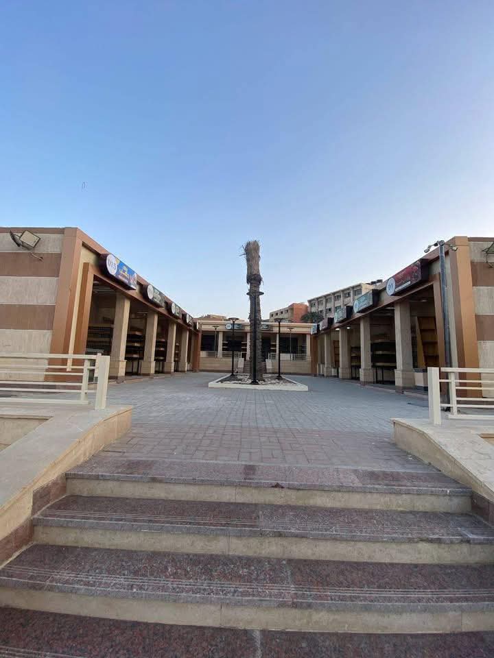الأسواق البديلة للباعة (5)