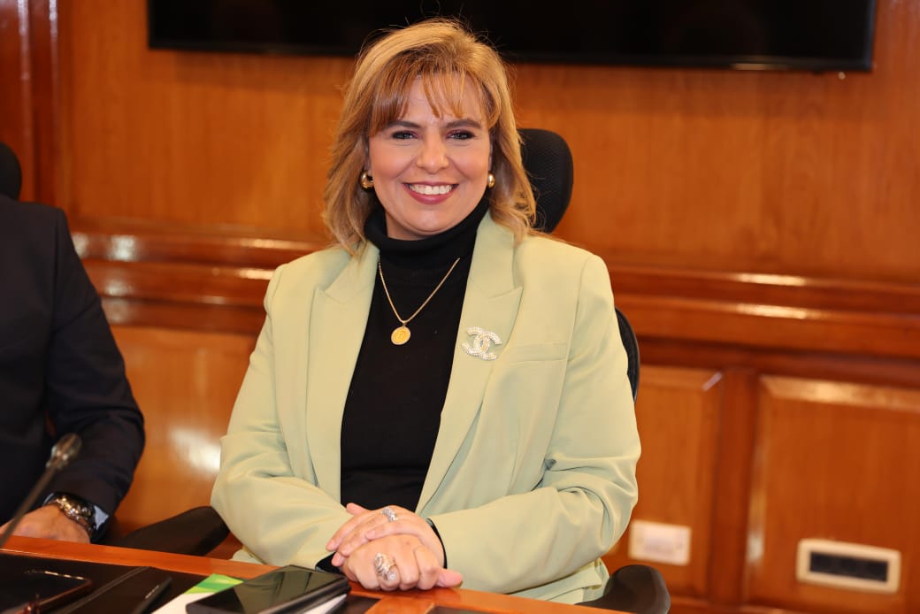 عايدة محي الدين
