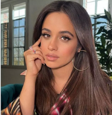 لون الشعر البنى