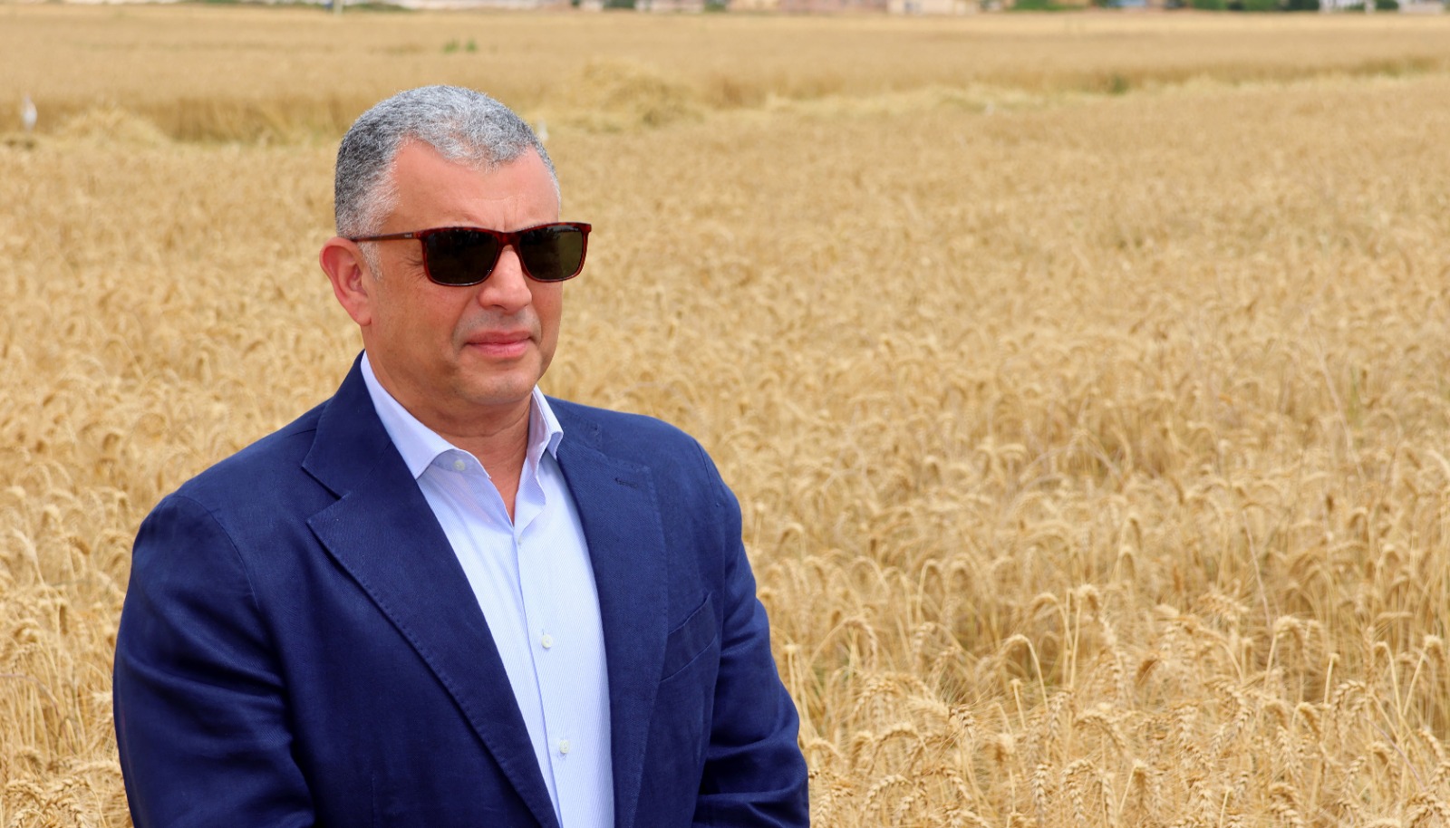 محافظ الإسماعيلية فى حقول القمح