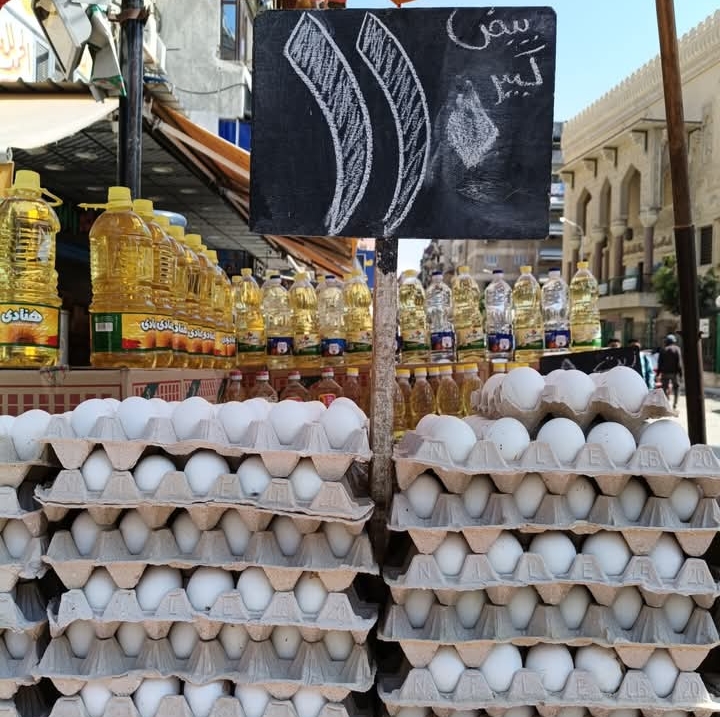 بيض ب 110 بيض ب 110