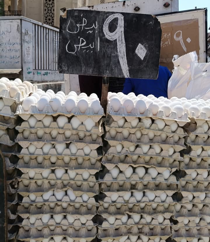 بيض ب 90 بيض ب 90