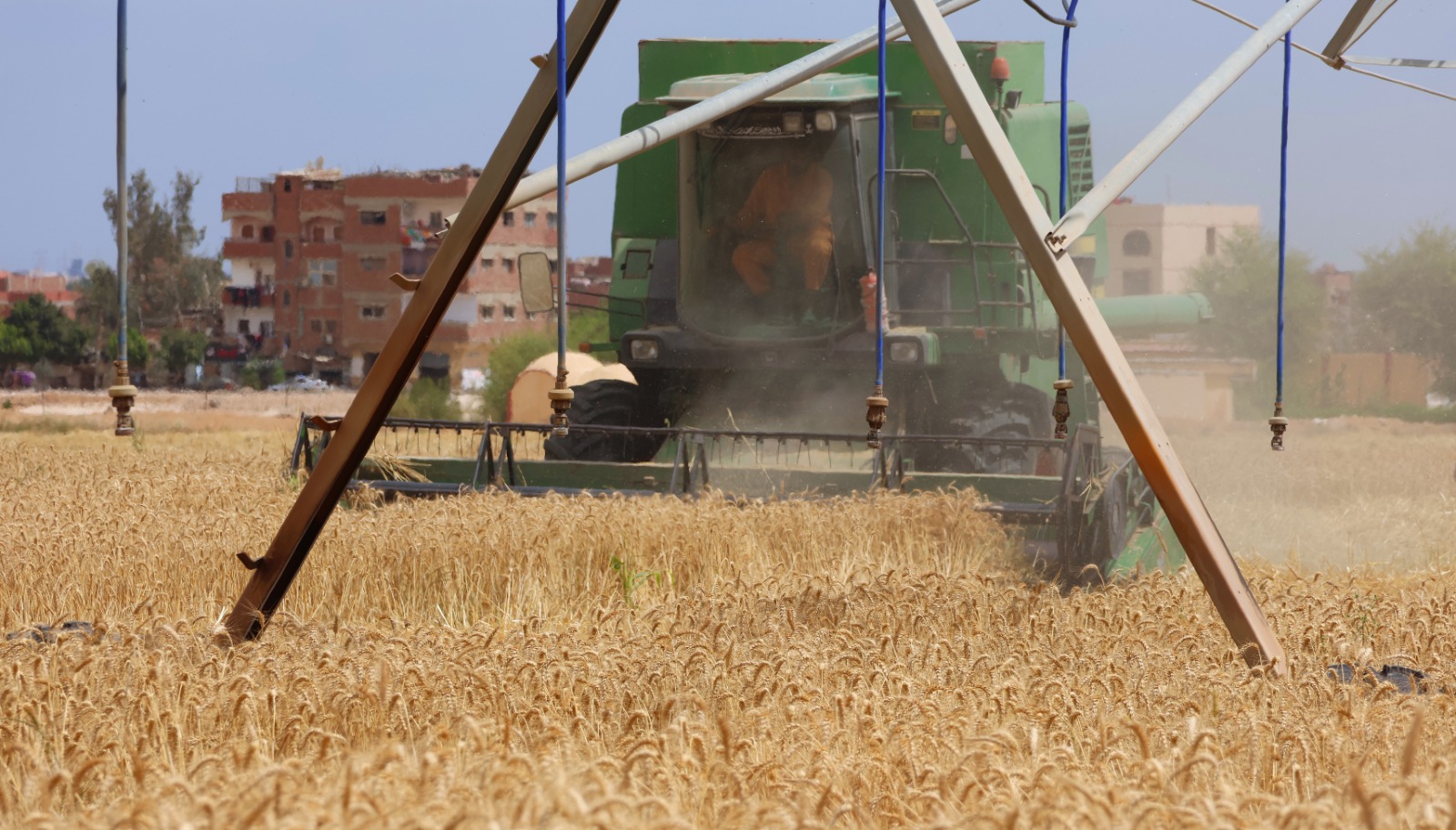حصادة القمح