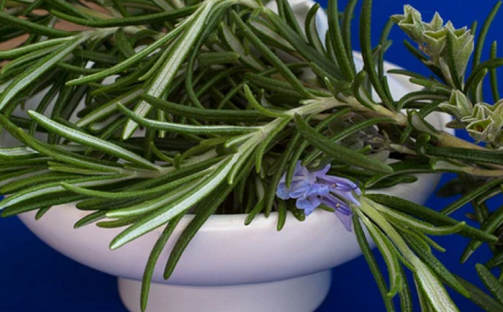 اكليل الجبل