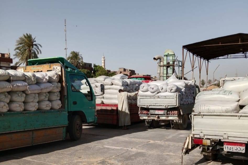 شون وصوامع الأقصر تستقبل أكثر من 1420 طن قمح منذ بداية التوريد شون وصوامع الأقصر تستقبل أكثر من 1420 طن قمح منذ بداية التوريد